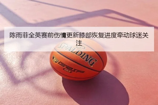 陈雨菲全英赛前伤情更新膝部恢复进度牵动球迷关注
