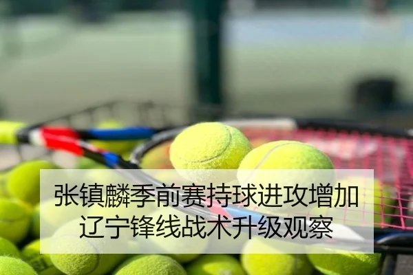 张镇麟季前赛持球进攻增加 辽宁锋线战术升级观察
