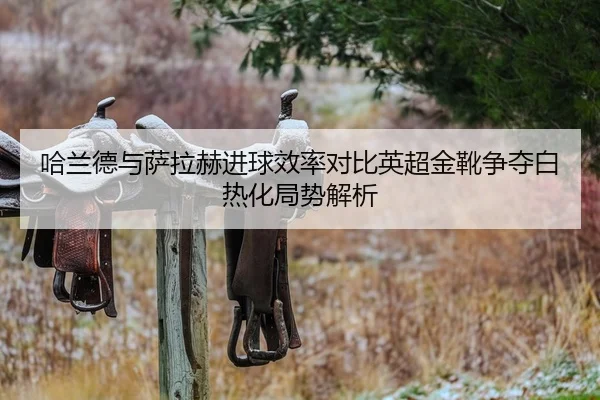 哈兰德与萨拉赫进球效率对比英超金靴争夺白热化局势解析