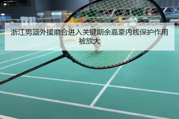 浙江男篮外援磨合进入关键期余嘉豪内线保护作用被放大